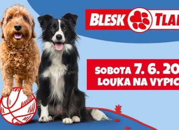 Blesk Tlapky 2025