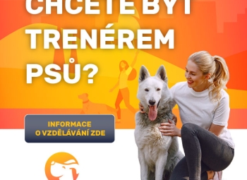 Webinář - informace o vzdělávání pro psí trenéry - KYNOLOG.CZ od 20:00