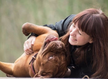 Vztah se psem a poslušnost pomocí her - intenzivní tábor