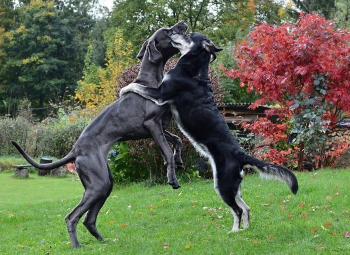 Speciální hry pro reaktivce, pro posílení vztahu a sebekontrolu - Víkendový seminář