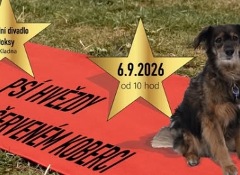 Psí hvězdy 2026