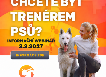 Webinář - informace o vzdělávání pro psí trenéry - KYNOLOG.CZ od 20:00